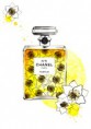 Perfume N°5